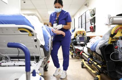 Reportan primera muerte por el nuevo virus de la viruela de Alaska