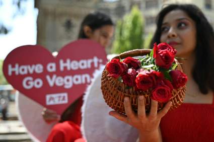 Día de San Valentín 2024: Frases de amor para compartir