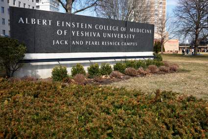 Profesora donó $1,000 millones de dólares a Escuela de Medicina Albert Einstein