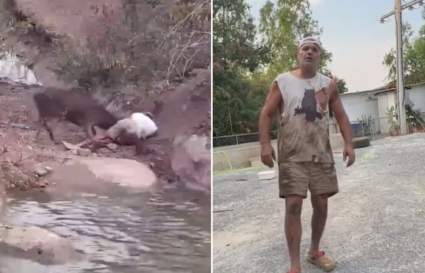 Un ciervo atacó a Frank Cuesta en pleno directo [VIDEO]