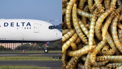 Llueven gusanos a pasajeros en vuelo de Delta Airlines