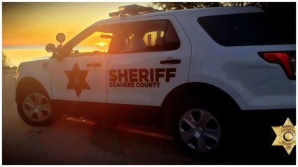 Joven falleció tras lanzarse a una autopista en Wisconsin