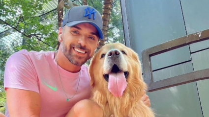 Muere un golden retriever tras ser enviado en un vuelo equivocado