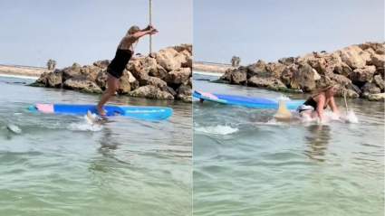 Mujer cae encima de tiburón tras perder el equilibrio en su tabla de surf [VIDEO]