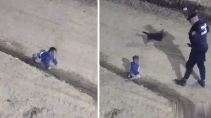 Bebé escapa de su casa gateando con ayuda de su perro [VIDEO]