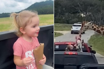 Jirafa levanta en el aire a niña de dos años en safari de Texas [VIDEO]