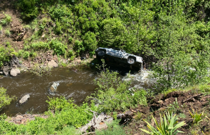 Perro salva la vida a su dueño: Corrió 6 km para avisar un accidente