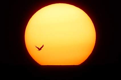 Solsticio de Verano 2024: ¿Cuándo es el día más largo del año?