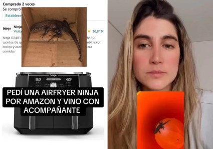 Colombiana pidió un Air Fryer por Amazon y le llegó un cocodrilo [VER]