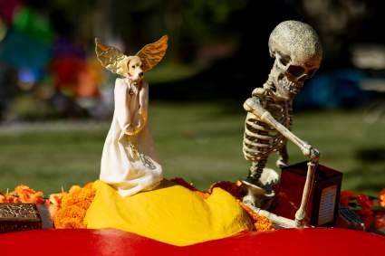 Día de Muertos 2024: ¿Cuándo poner la ofrenda para mascotas?