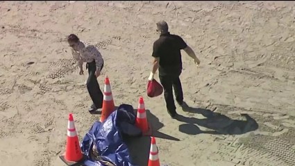 Hallan una cabeza humana en una playa de Miami