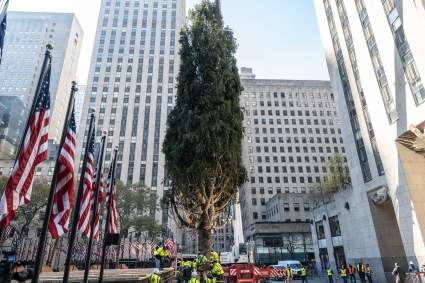 El árbol de Navidad del Rockefeller Center llegó a New York