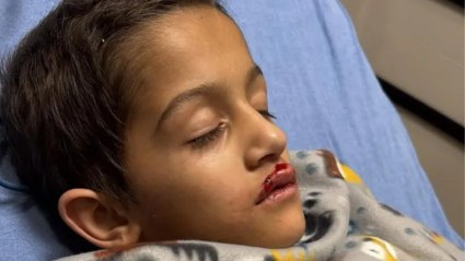 Niño resultó herido tras caída de drones durante show navideño en Orlando